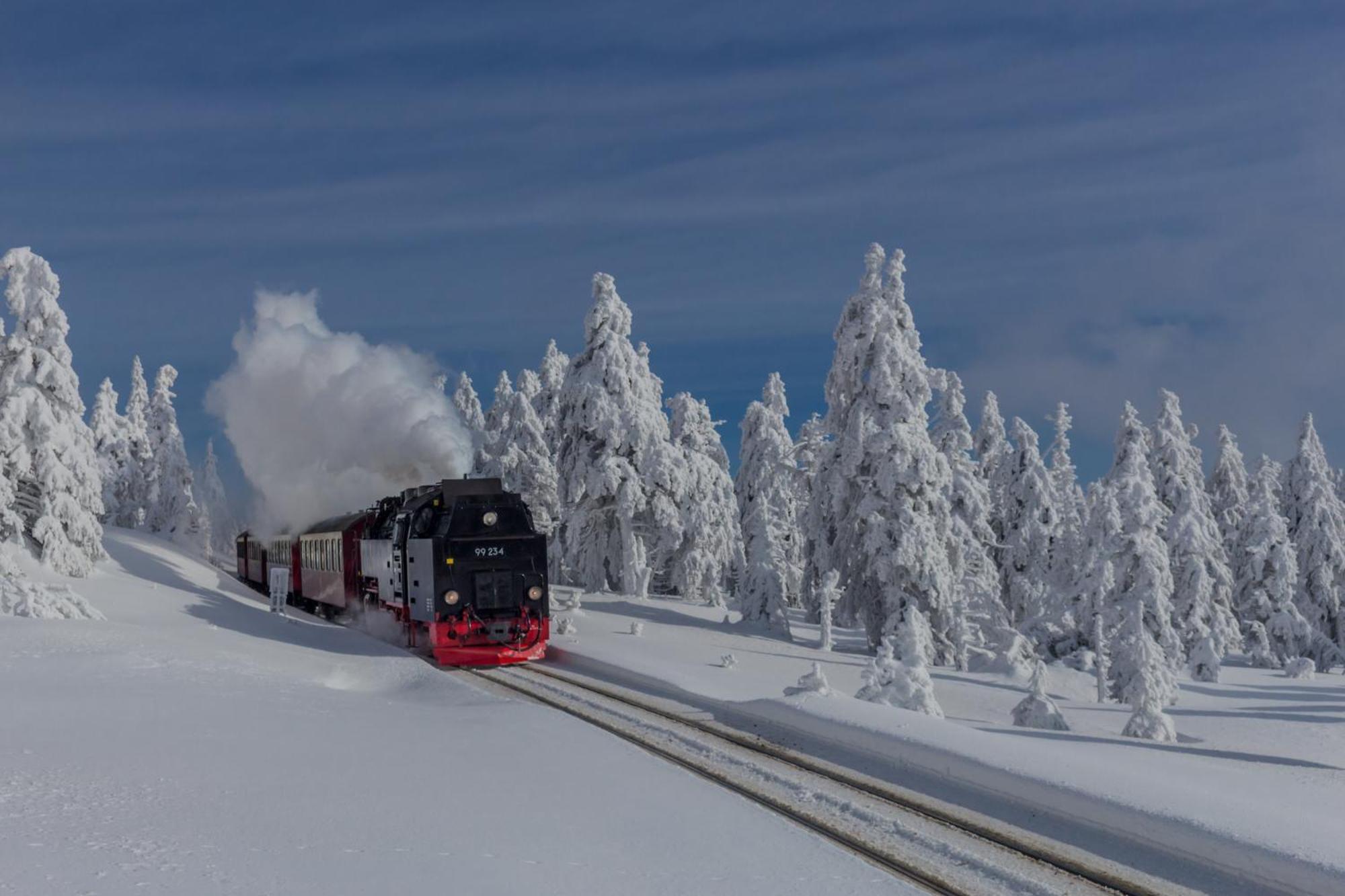 Fewo Schloesschen #Innenstadt#Garten#Ruhige Lage Von Harztraveler Wernigerode Buitenkant foto